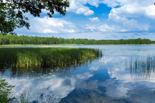 Беларусь озера