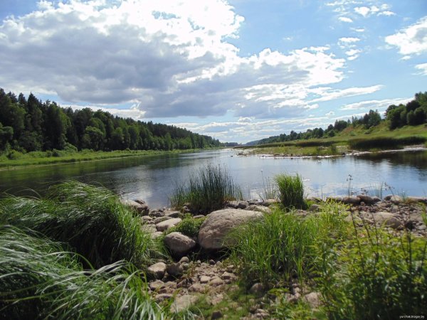 Даугава Западная Двина