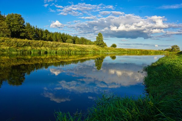 Реки Луга леса Эстонии