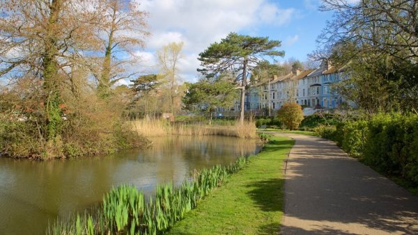 Парк Александра Попуа в Твикнеме