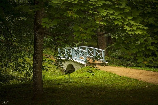 Мостик в Новоспасское