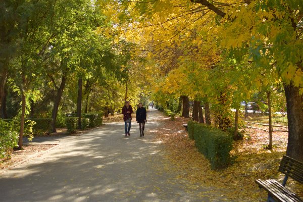 Осенний парк Миллерово