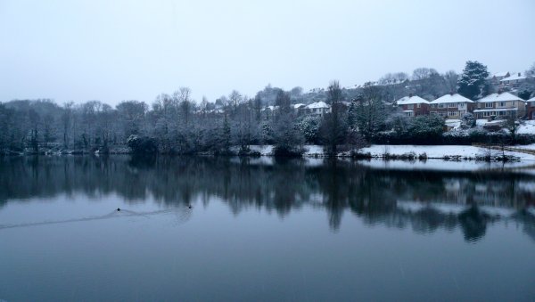 Парк Александра Попуа в Твикнеме