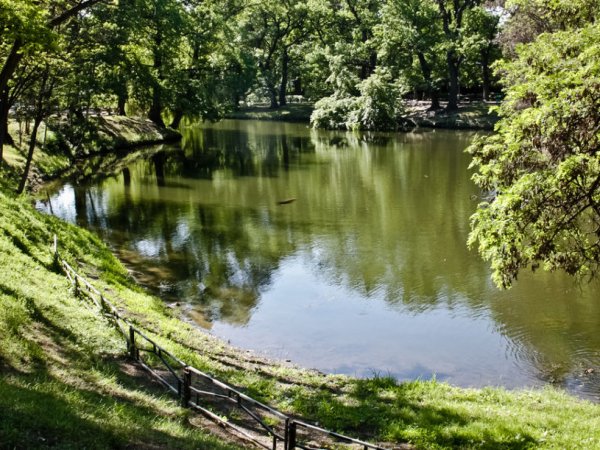 Пруды городской парк Саратов