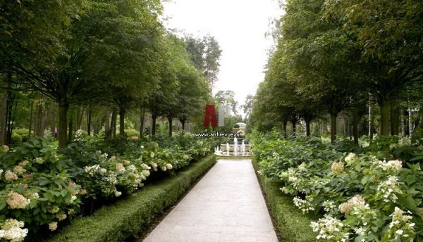 Il nature Александр Гривко