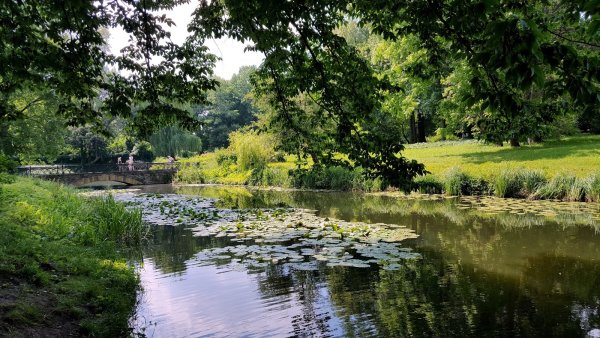 Белая Церковь Александрийский парк