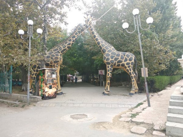 Парк 50 летия октября Махачкала