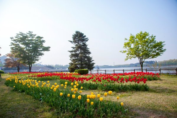 Парк Акгель Махачкала фото