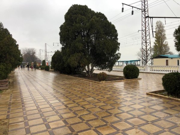 Родопский бульвар Махачкала