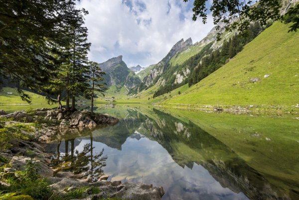 Зеальпзе Швейцария