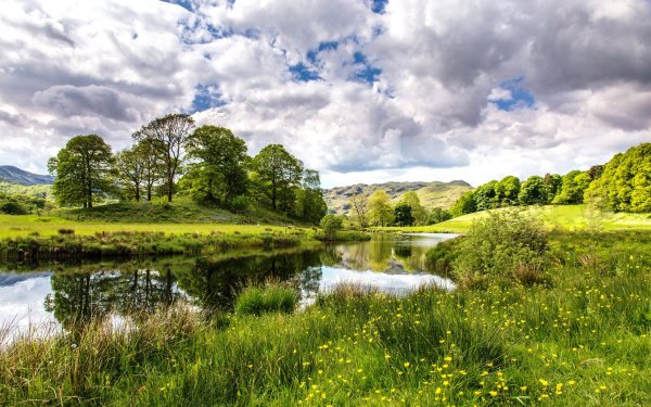 Река в поле