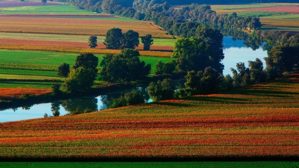 Леса и поля России