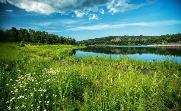 Луга Кировской области