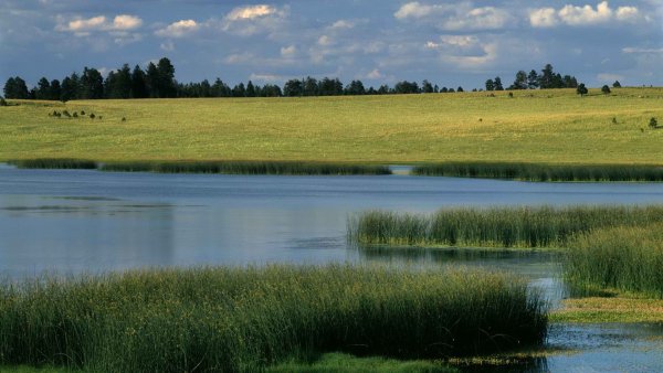 Река Волга лесостепь
