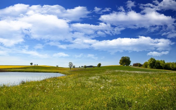 Озеро в поле