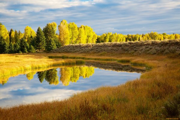 Леса поля реки