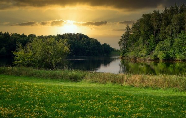 Поляна с озером