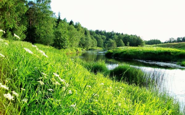 Река Луга Исток