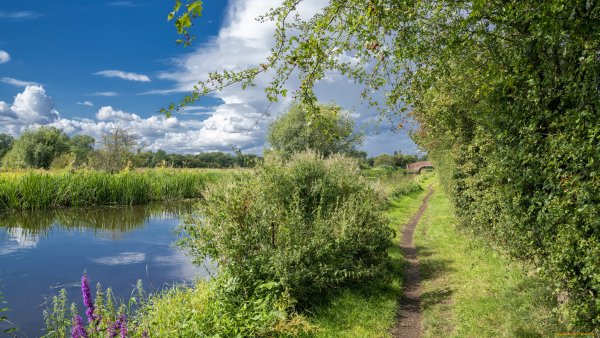 Летняя природа любительская