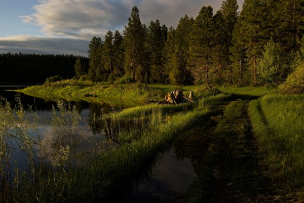 Река Андога