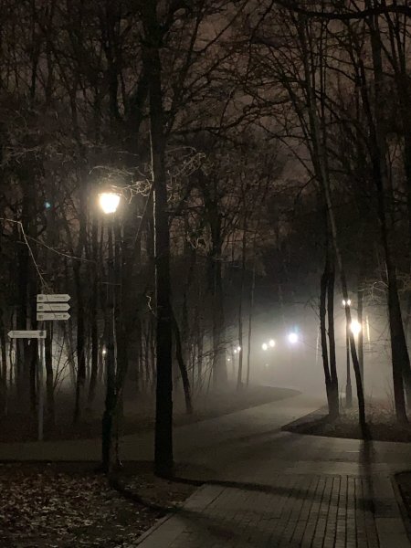 Парк Останкино вечером