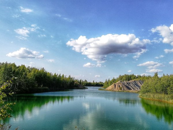 Природа Тульской Тульской области-