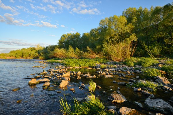 Река красивая меча Тульская
