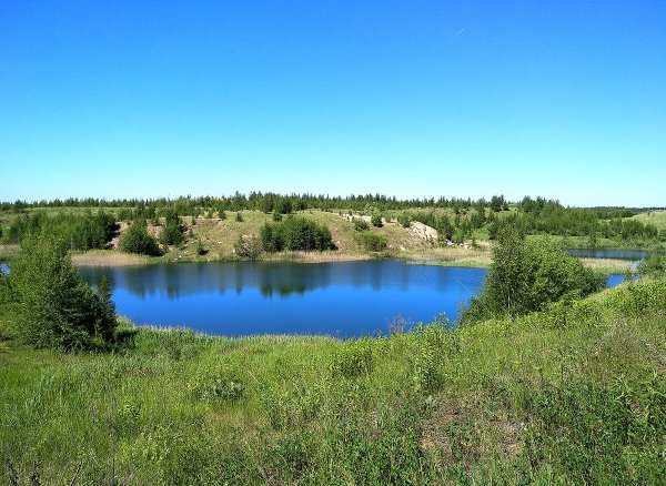 Озеро Жупень Тульской области