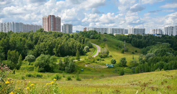 Парк заповедник Крылатские холмы