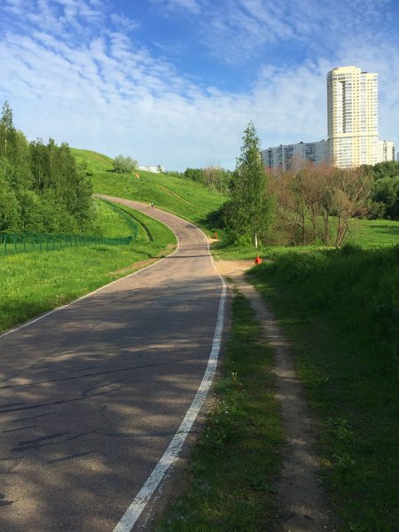 Ландшафтный заказник Крылатские холмы