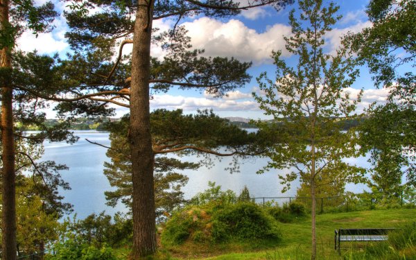 Сосновый Бор озеро