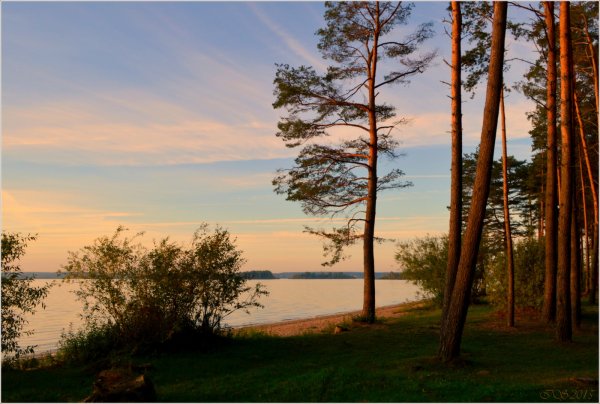 Сосновый Бор Горьковское море