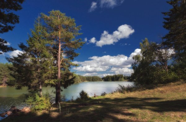 Сосновый Бор на берегу реки