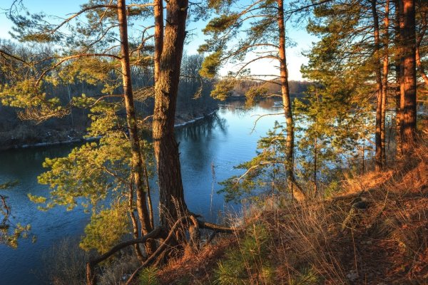 Берег реки обрыв Сосновый Бор