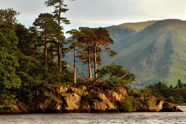 Утес река и сосны