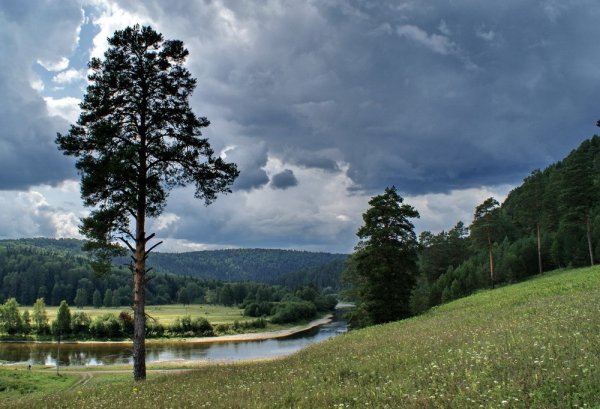 Сосновый Бор река