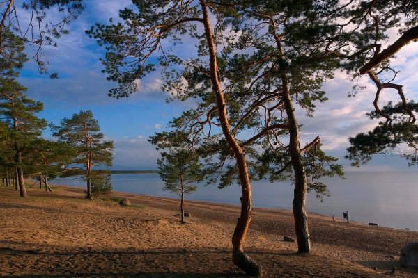 Пляж Липово Сосновый Бор