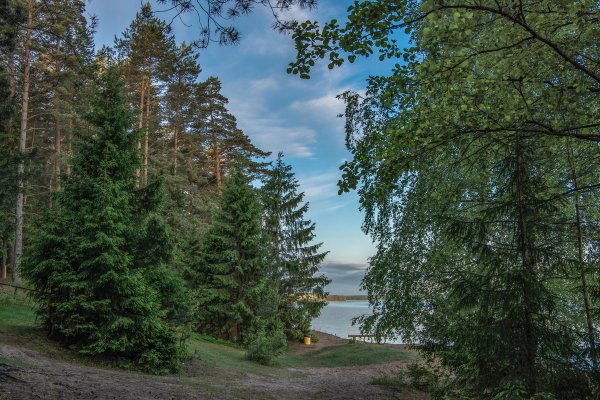 Конаково Тверская область Сосновый Бор