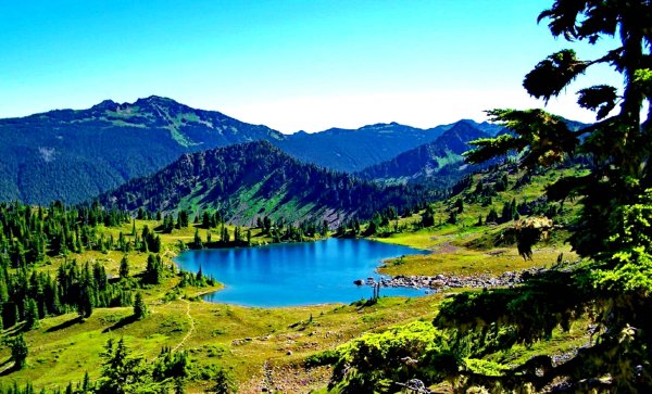 Национальный парк Олимпик Вашингтон