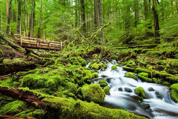 Национальный парк «Олимпик», штат Вашингтон