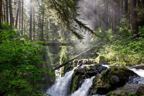 Национальный парк «Олимпик», штат Вашингтон