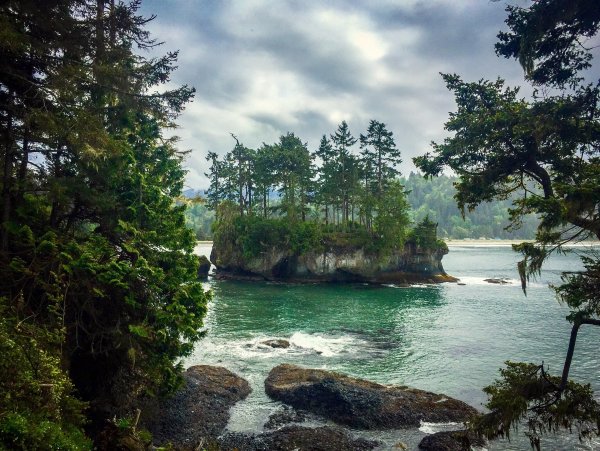 Национальный парк Олимпик (Olympic National Park)