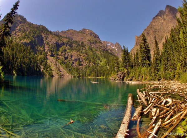 Национальный парк Олимпик Вашингтон