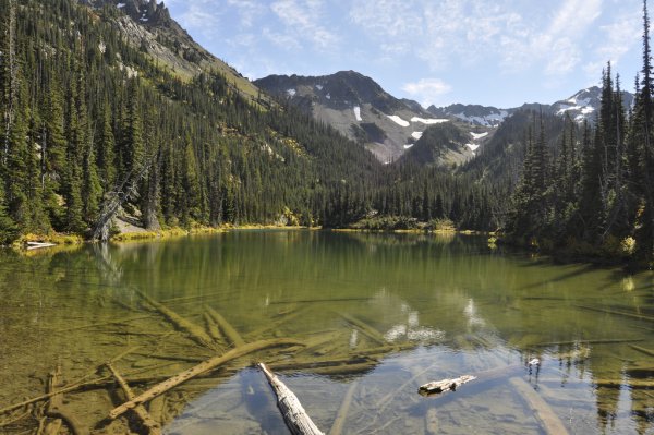Национальный парк (Вашингтон, США).