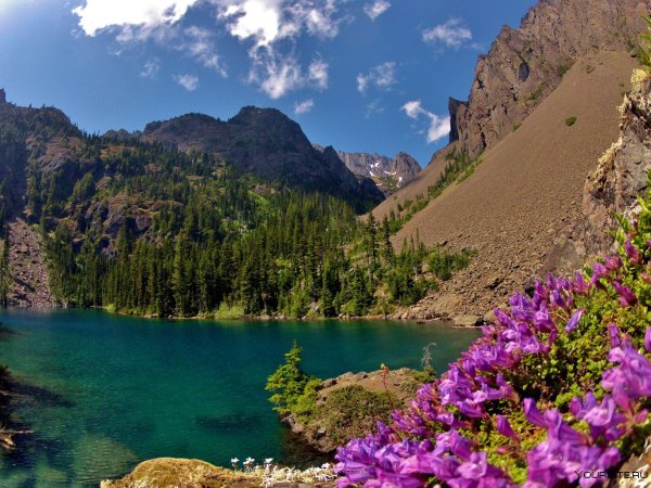 Парк Олимпик США