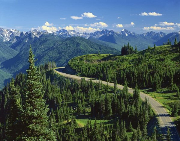 Гора Олимпик США