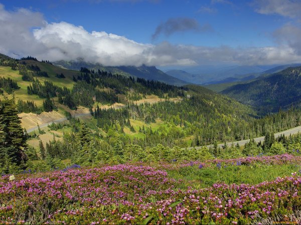 Национальный парк Олимпик Вашингтон на рабочий стол
