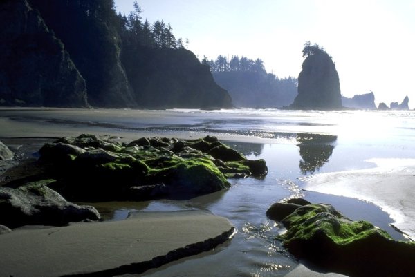 Национальный парк Олимпик, Форкс и ла пуш