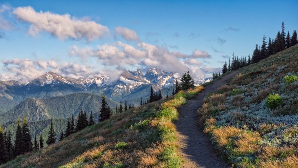 Национальный парк Олимпик горы