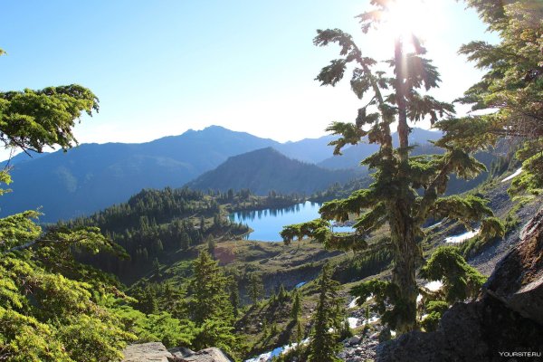 Озеро в парке Олимпик